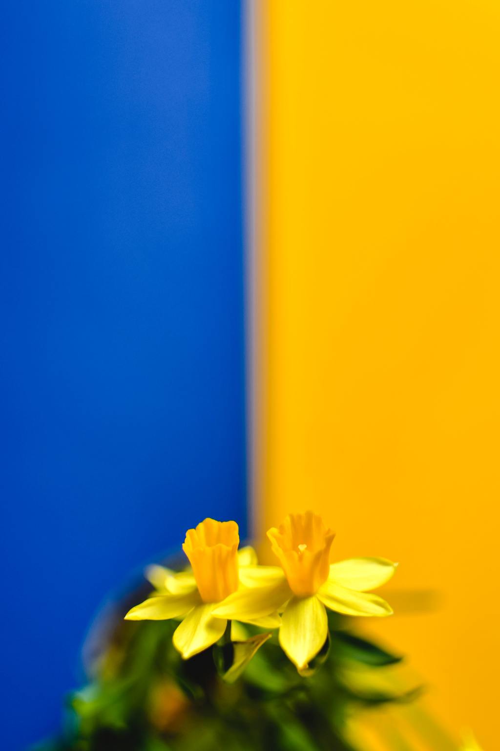 Holding a Space for your Twin&nbsp;Flame